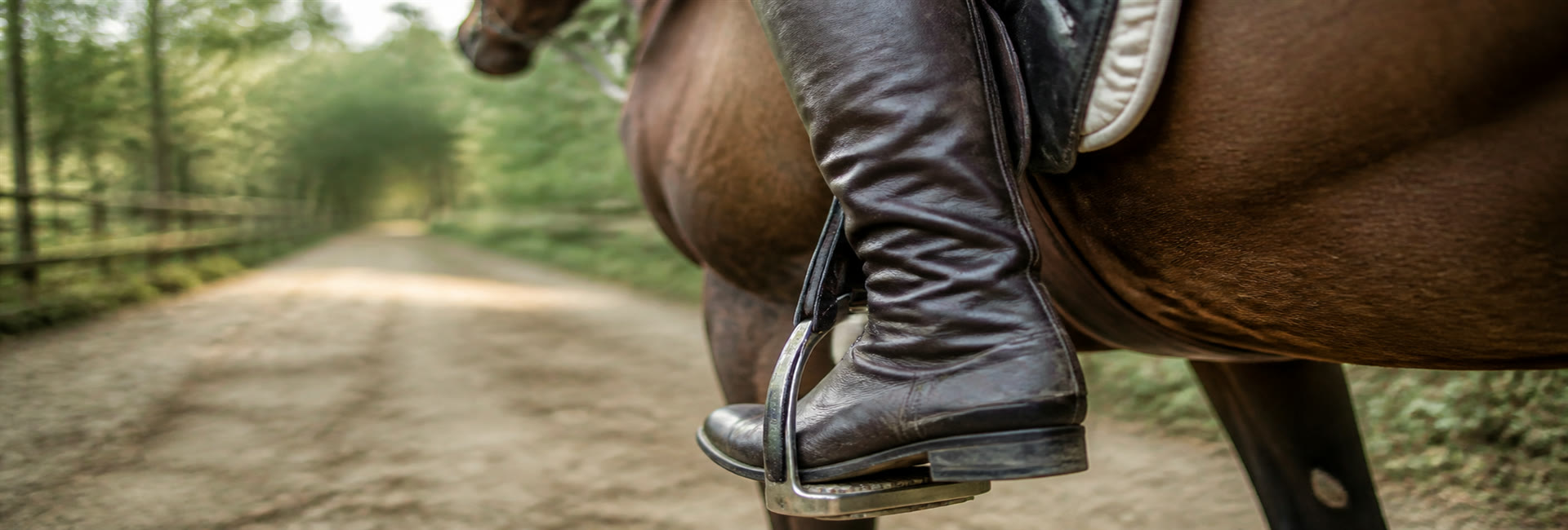 Equestrian rider in Aiken SC horse country